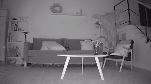 night-vision-2